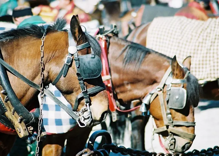 Les Clochettes Chalet *