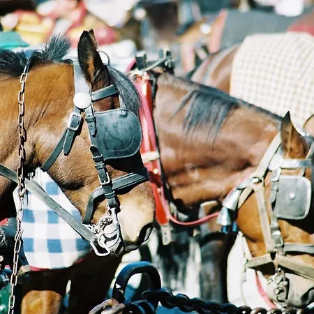 Les Clochettes Horská chata *