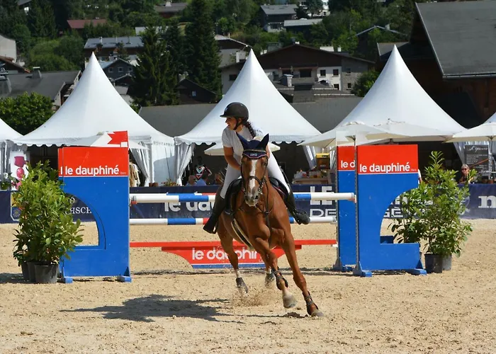 Alpstuga Les Clochettes *